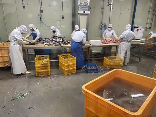 你知道袋裝即食魚應該如何殺菌效果更好嗎？